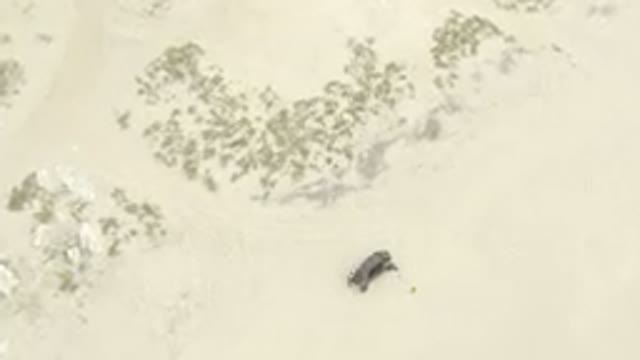 Overhead View Of Off-Road Vehicle On Sandy Beach