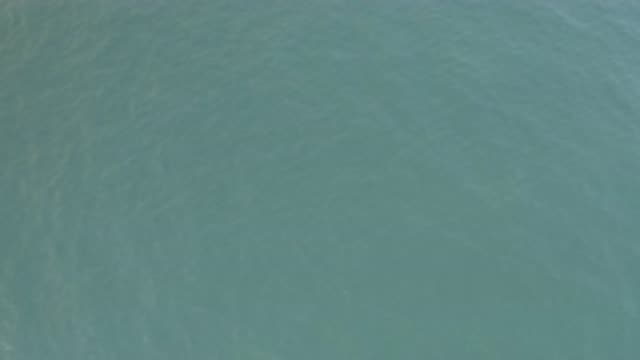 EAST CAPE BAJA CALIFORNIA SUR-2019: Aerial View of Water Surface Currents