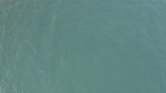 EAST CAPE BAJA CALIFORNIA SUR-2019: Beautiful Sea Open Wet Fluid Aqua Submerge