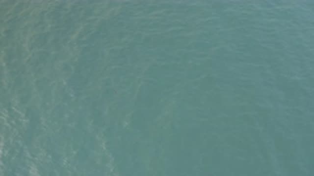 EAST CAPE BAJA CALIFORNIA SUR-2019: Wind And Sun Playing On The Rippled Surface