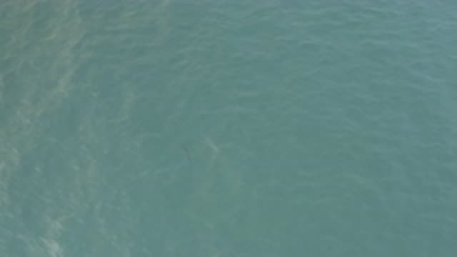 EAST CAPE BAJA CALIFORNIA SUR-2019: Ocean Deep Fantastic View