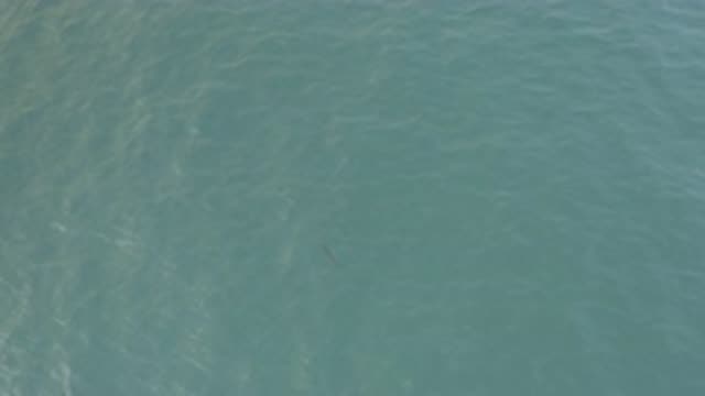 EAST CAPE BAJA CALIFORNIA SUR-2019: A Calm Ocean On A Sunny Day