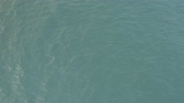 EAST CAPE BAJA CALIFORNIA SUR-2019: Calming Surface Of A Lake As The Sun And Reflections Play