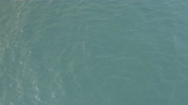 EAST CAPE BAJA CALIFORNIA SUR-2019: Deep And Green Ocean Viewed From Above