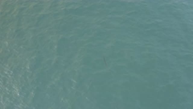 EAST CAPE BAJA CALIFORNIA SUR-2019: Aerial Image Of A Blue Big And Beautiful Sea