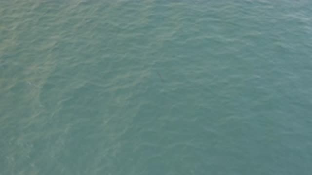 EAST CAPE BAJA CALIFORNIA SUR-2019: Wind Causing Waves Out In The Ocean With A