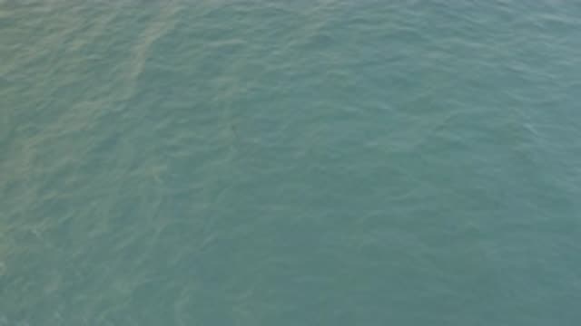 EAST CAPE BAJA CALIFORNIA SUR-2019: Blue Sea Full Of Water And Possibly Fish