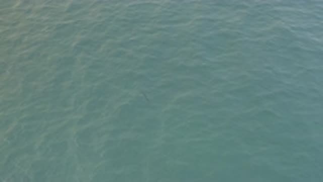 EAST CAPE BAJA CALIFORNIA SUR-2019: A Peaceful Video Of Clear Ocean Water With