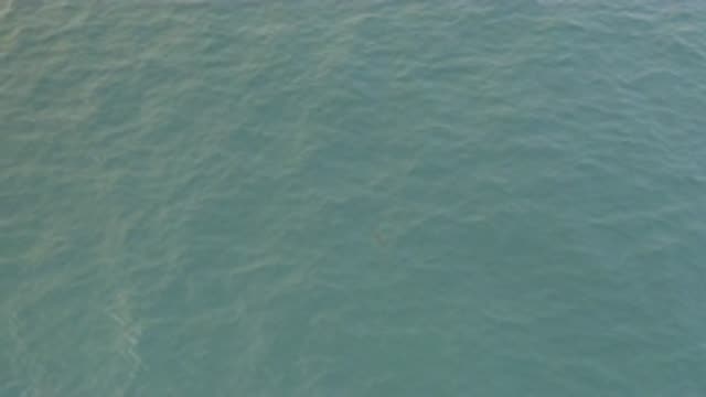 EAST CAPE BAJA CALIFORNIA SUR-2019: Green Ocean is Deep