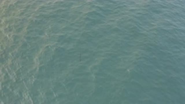 EAST CAPE BAJA CALIFORNIA SUR-2019: Beautiful Clean Ocean Calming To The Eyes