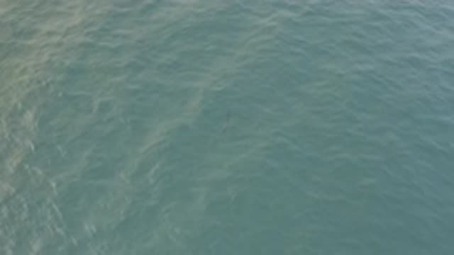 EAST CAPE BAJA CALIFORNIA SUR-2019: Large Body Of Water Gently Ripples With No