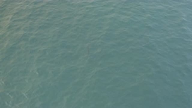 EAST CAPE BAJA CALIFORNIA SUR-2019: The Clear Water Of The Sea Is Still Calm