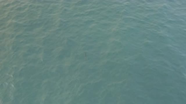 EAST CAPE BAJA CALIFORNIA SUR-2019: Aerial View From High Above Gray Body Of Water