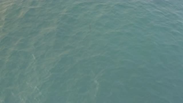EAST CAPE BAJA CALIFORNIA SUR-2019: Calm And Crystal Sea On A Great Sunny Day