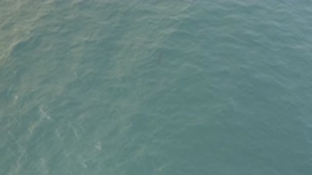 EAST CAPE BAJA CALIFORNIA SUR-2019: Beautiful View Of The Water In A Tropical