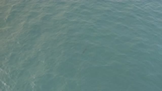 EAST CAPE BAJA CALIFORNIA SUR-2019: View Of Calm Blue-Green Water On A Clear
