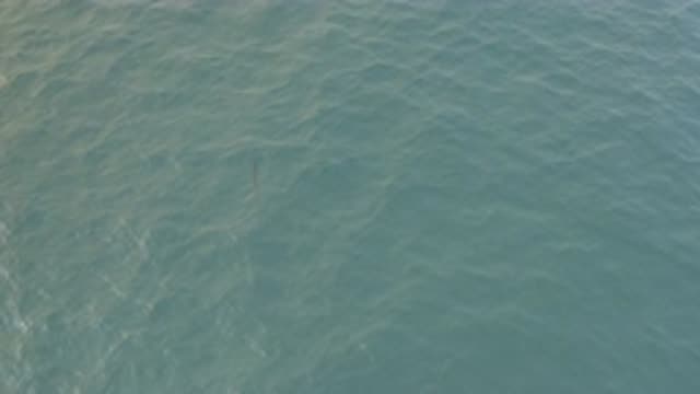 EAST CAPE BAJA CALIFORNIA SUR-2019: Someone Was Making Videos Of Ocean Waves