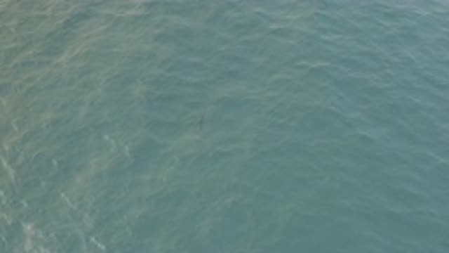 EAST CAPE BAJA CALIFORNIA SUR-2019: An Awesome View Of A Clean And Green And