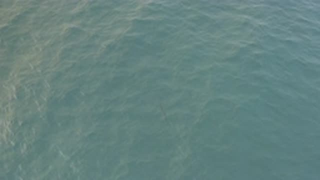 EAST CAPE BAJA CALIFORNIA SUR-2019: View From High Above Body Of Water Faint