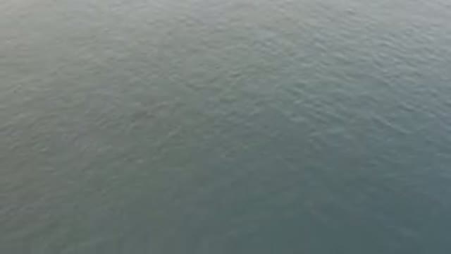 Aerial View Of Whale Swimming In Ocean