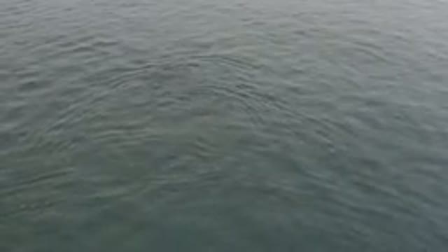 Aerial View Of Calm Grey Ocean Surface