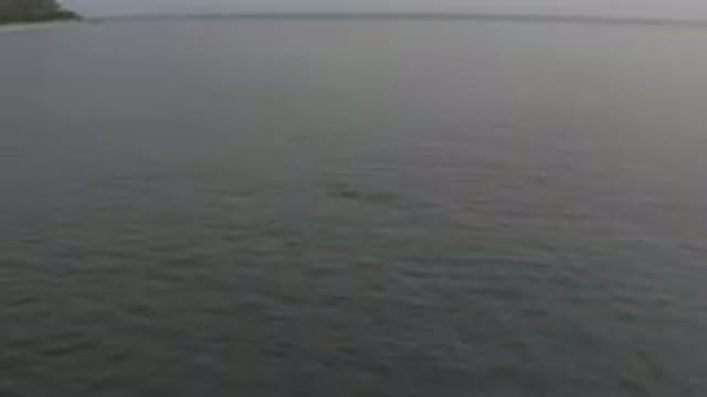 Aerial View of Calm Ocean Surface
