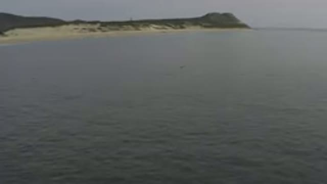Aerial View Of Calm Sea And Sandy Coastline