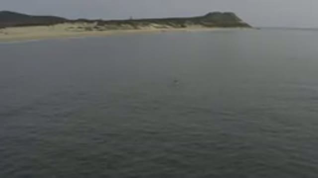 Aerial View Of Calm Sea And Sandy Coast