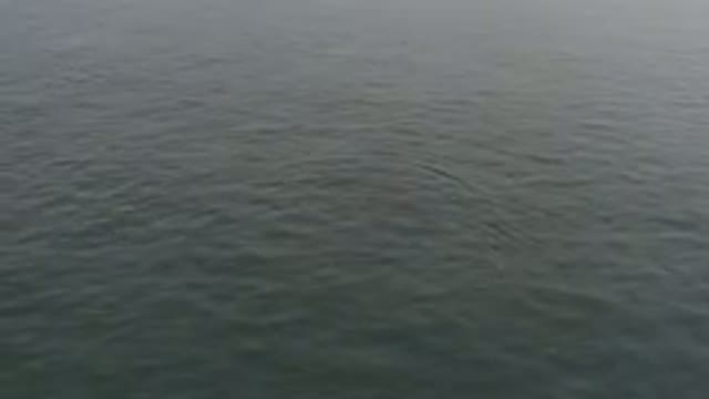 Aerial View Of Calm Grey Ocean Surface
