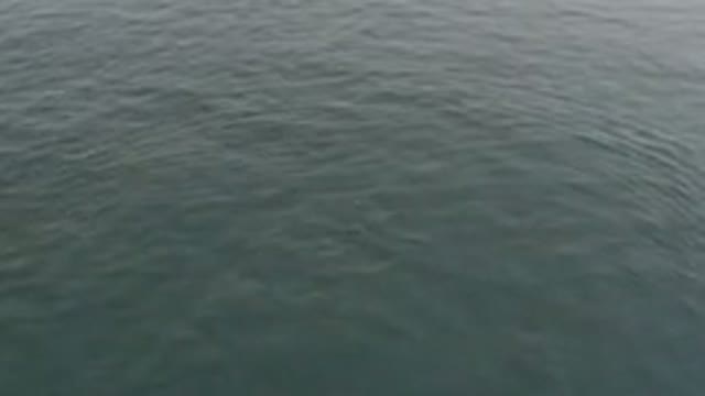 Aerial View Of Calm Ocean Surface