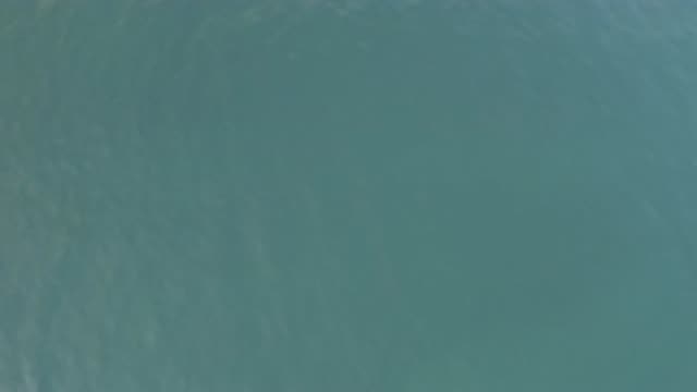 EAST CAPE BAJA CALIFORNIA SUR-2019: Open Sea Fresh Air Amazing Breeze As If I