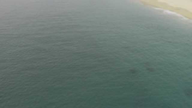 EAST CAPE BAJA CALIFORNIA SUR-2019: Panoramic View Of The Sea, Beach And Forest