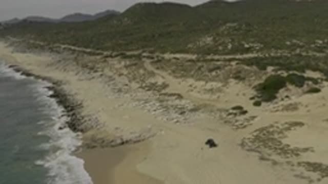 EAST CAPE BAJA CALIFORNIA SUR-2019: The Beach And The Possibilities To Bring