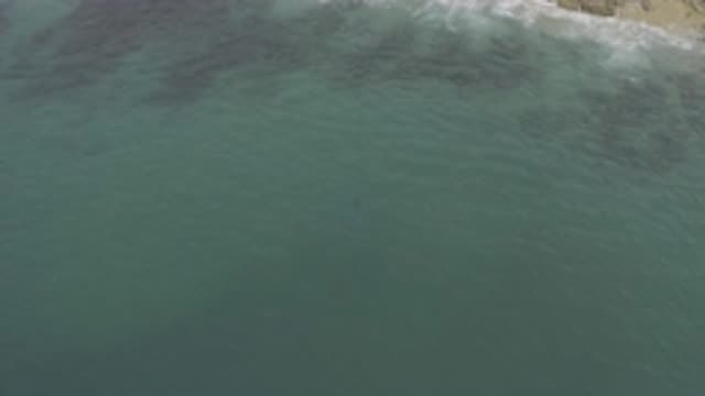 M01-20-0800-01-22-20-east-cape-bcs-mexico-DJI_0671_0002.mp4