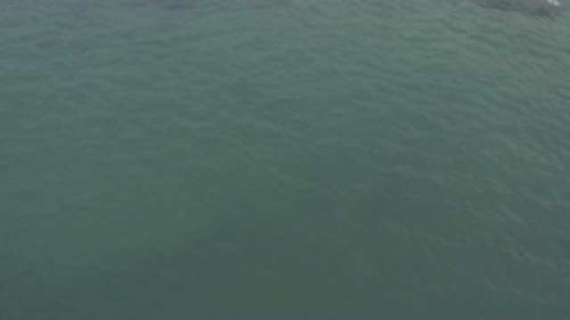 EAST CAPE BCS MEXICO-2019: Shadow Of A Fish In The Ocean Filmed From A Drone