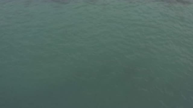 M01-20-0804-01-22-20-east-cape-bcs-mexico-DJI_0671_0006.mp4