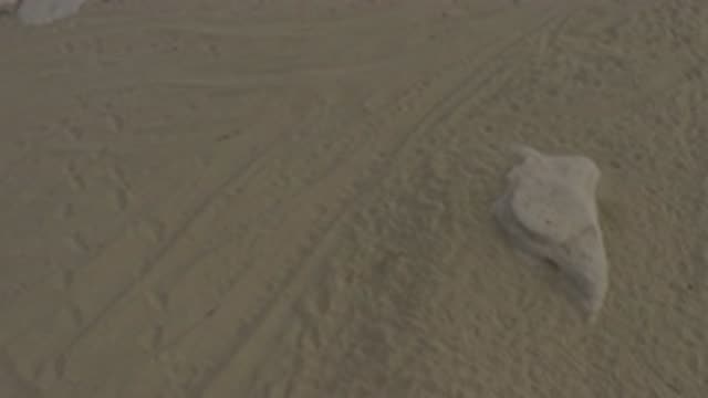 EAST CAPE BCS MEXICO-2019: Beach Or Desert With Large Amounts Of Sand And Some Rocks