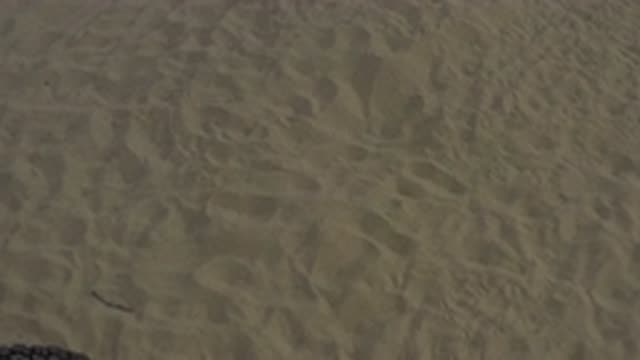 M01-20-0815-01-22-20-east-cape-bcs-mexico-DJI_0671_0017.mp4