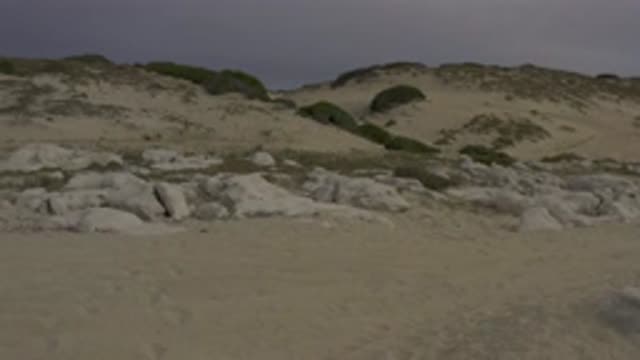 EAST CAPE BCS MEXICO-2019: Seaside Drone High View Recording