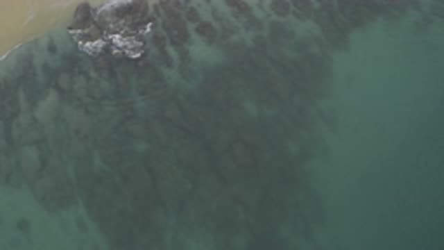M01-20-0817-01-22-20-east-cape-bcs-mexico-DJI_0672_0001.mp4