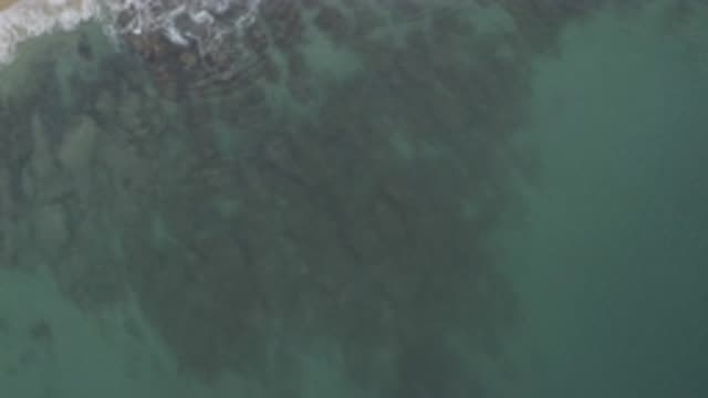 EAST CAPE BCS MEXICO-2019: Sea With Calm And Crystalline Waters Where You Can