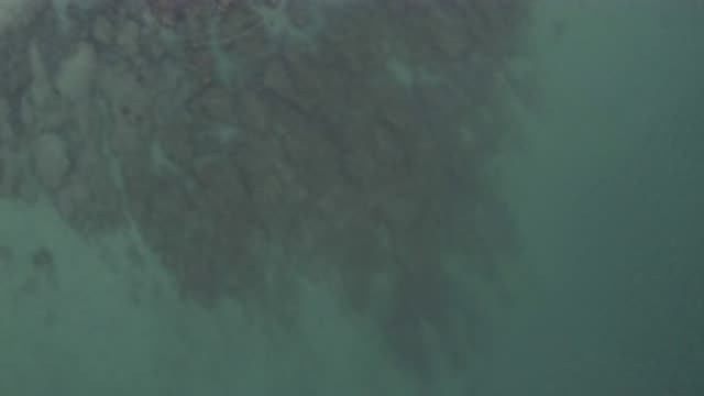 EAST CAPE BCS MEXICO-2019: Bird-Eye View Of Rippling Pool With Reef