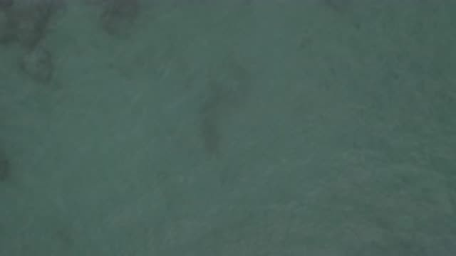M01-20-0831-01-22-20-east-cape-bcs-mexico-DJI_0674_0001.mp4
