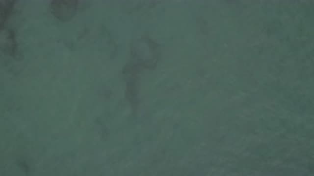EAST CAPE BCS MEXICO-2019: Shot Of Underwater Structure From Above Birds Eye View
