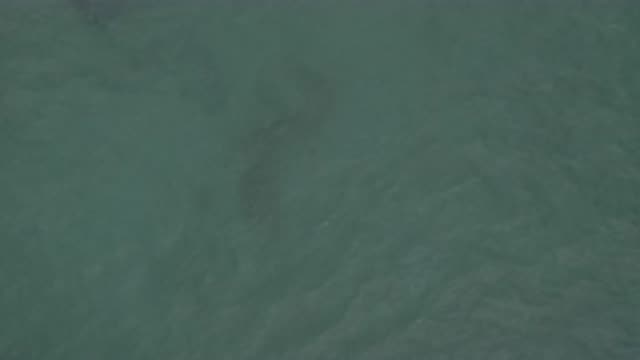 EAST CAPE BCS MEXICO-2019: Mysterious Shadow In The Ocean Recorded From The