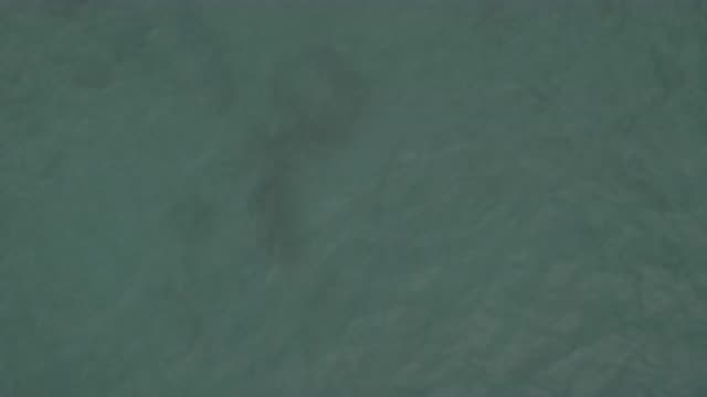 EAST CAPE BCS MEXICO-2019: Deep Dark Waters And The Quiet Moves Of The Waves