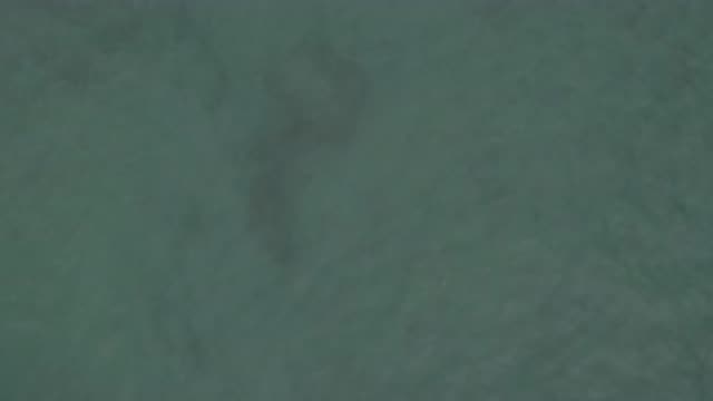 M01-20-0835-01-22-20-east-cape-bcs-mexico-DJI_0674_0005.mp4