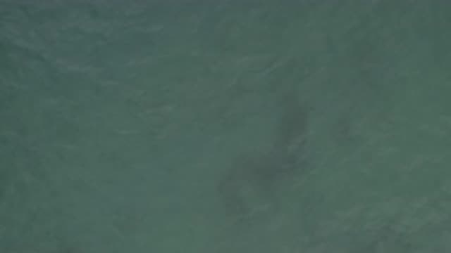 M01-20-0837-01-22-20-east-cape-bcs-mexico-DJI_0674_0007.mp4