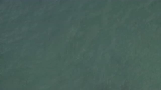 EAST CAPE BCS MEXICO-2019: A Fish Swimming In Water During Daytime
