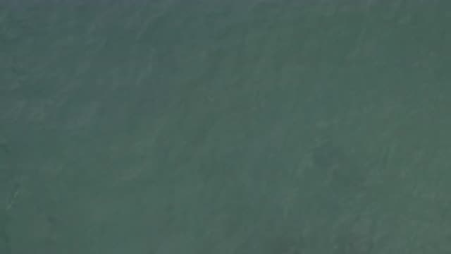 M01-20-0843-01-22-20-east-cape-bcs-mexico-DJI_0675_0006.mp4